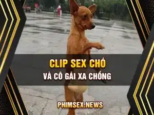Clip sex chó và cô gái xa chồng